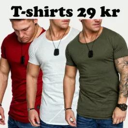 Utförsäljning herr t-shirts 29 kr