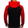 Billiga hoodies - Herrtröjor med luva svart bakifrån