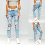 Damjeans BS502 destroyed