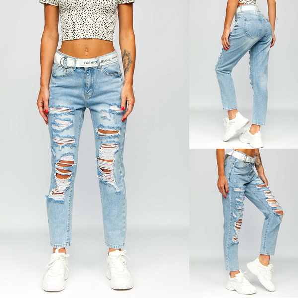 Damjeans BS502 destroyed