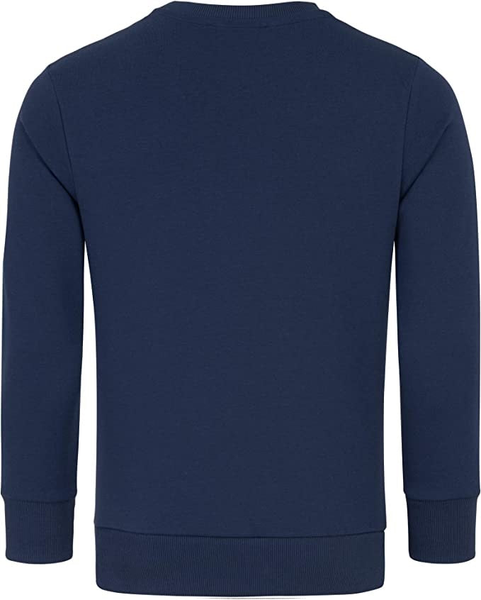 Billig basic Sweatshirt Herr - Amaci & Sons Tröja marinblå bakifrån