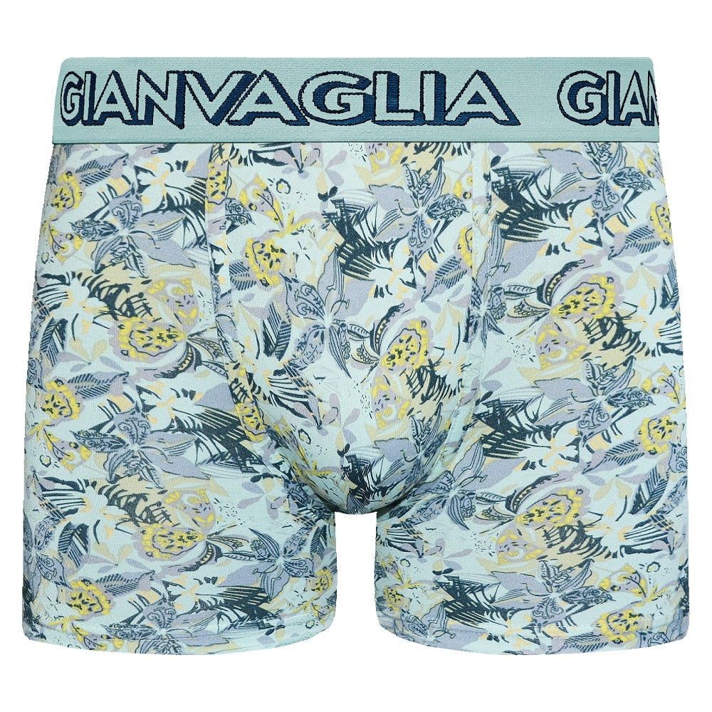 5-pack mönstrade herrkalsonger - Flerpack boxershorts med mönster