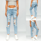 Damjeans BS502 destroyed
