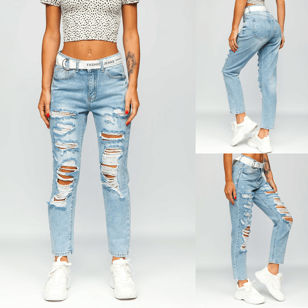 Damjeans BS502 destroyed