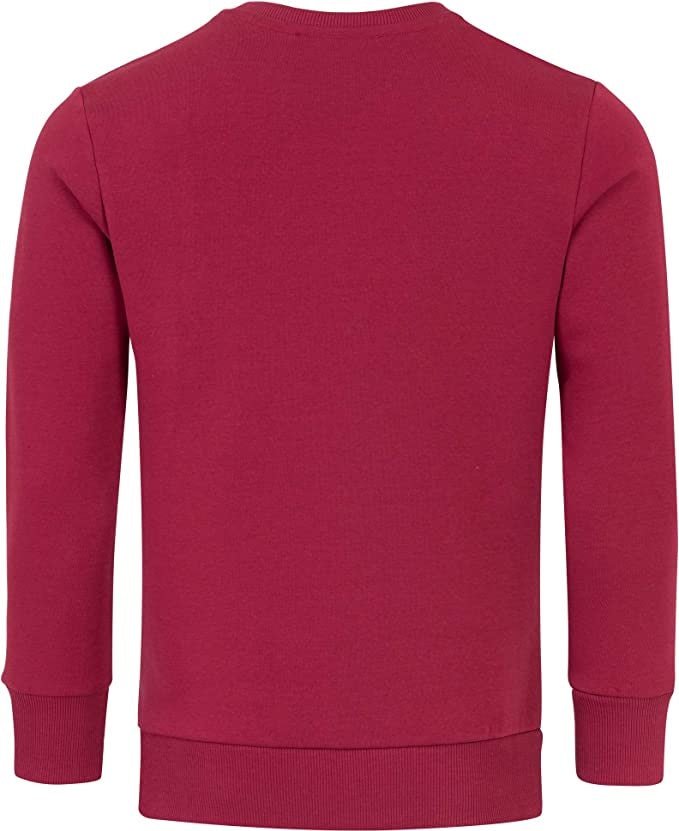 Billig basic Sweatshirt Herr - Amaci & Sons Tröja vinröd bakifrån