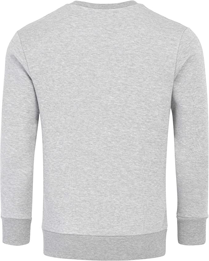 Billiga Sweatshirts basic herrtröjor ljusgrå bakifrån